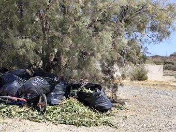 Συνεχίζεται η προκλητική εναπόθεση χόρτων δίπλα σε κάδους  