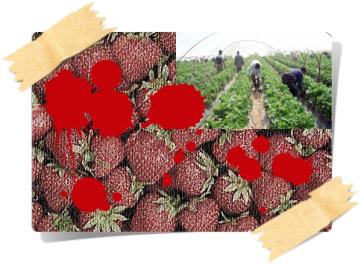 Κατήφορος της ελληνικής πραγματικότητας