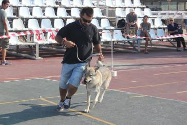 4η Εθνική Έκθεση Μορφολογίας στη Σύρο