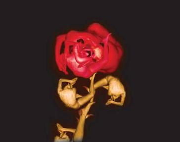 Η Τήνος ενάντια στην κατάθλιψη