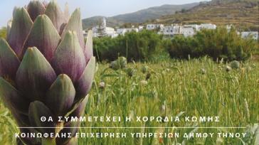 10η Γιορτή Αγκινάρας στην Τήνο