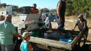 Παραδοσιακό τρυγοπάτι στη Βάρη