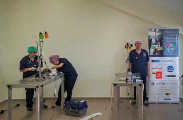 «Τα αδέσποτα δεν έχουν φωνή, αλλά έχουν ανάγκες»