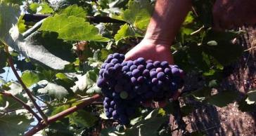 Παράταση προθεσμίας 