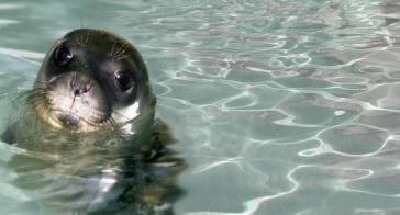 Μικροί ερευνητές και καλλιτέχνες