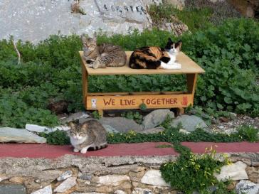 Αντιμετώπιση ενός μεγάλου προβλήματος