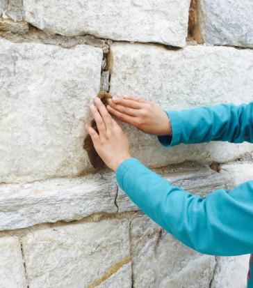 Δότες θαλπωρής 