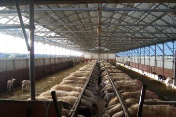 Έκδοση άδειας διατήρησης κτηνοτροφικών εγκαταστάσεων 