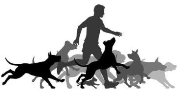 Η Σύρος «τρέχει για τα αδέσποτα»