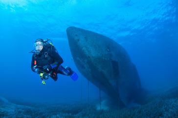 Συμμετοχή του Ν.Ο.Σ. στη Διεθνή Έκθεση "Boot 2018"