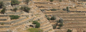 Life Terracescape: Επανακαλλιέργεια των αιμασιών της Άνδρου