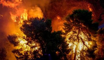 Έκκληση για αίμα από τον Σύλλογο "Εθελοντική Αιμοδοσία Σύρου"