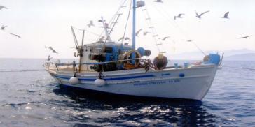 Πρόσθετα διαχειριστικά μέτρα για την αλιεία της Βιντζότρατας