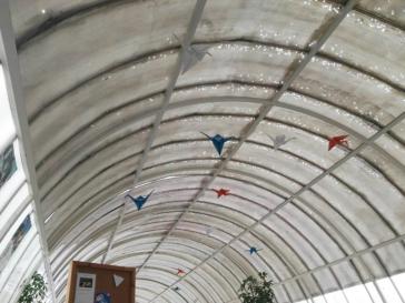 Ο Δήμος Σύρου - Ερμούπολης για τον θόλο στα Γυμνάσια