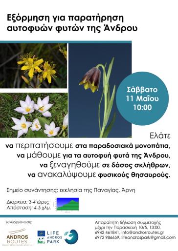 Πρόσκληση σε εξόρμηση για παρατήρηση αυτοφυών φυτών της Άνδρου