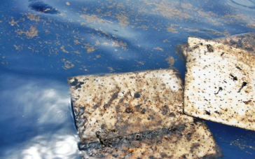 Ναυάγιο Sea Diamond: «Ο ρυπαίνων πληρώνει»