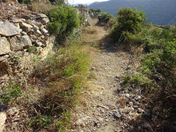 Εθελοντικός καθαρισμός μονοπατιών της Αμοργού από τον Ε.Π.Ο.Σ Φυλής