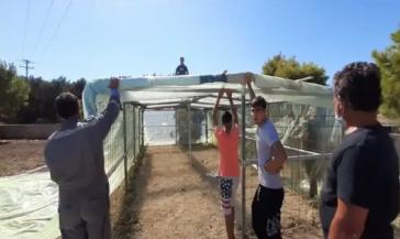 Διαμόρφωση του προαύλιου χώρου του ΕΠΑΛ Μήλου