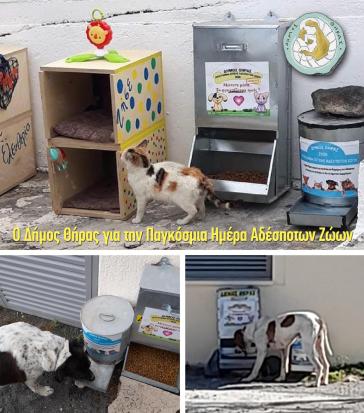 To μήνυμα του Δήμου Θήρας για την Παγκόσμια Ημέρα Ζώων