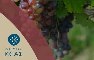 6ο Φεστιβάλ Αγροτικών Προϊόντων στην Κέα