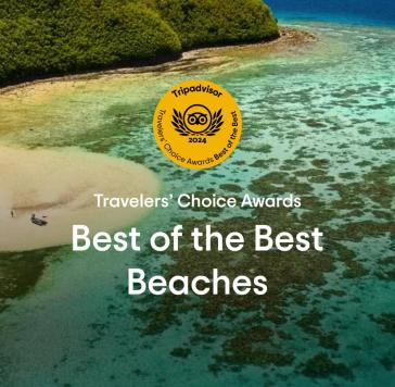 Σύρος: Διάκριση της παραλίας του Γαλησσά από το  Tripadvisor