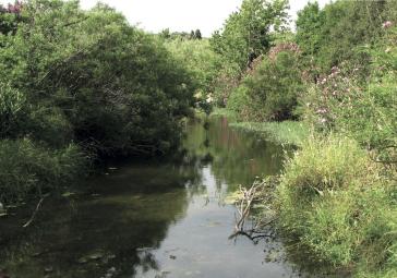 Όλη η Νάξος σε ένα βιβλίο