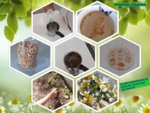 "Κυψέλη" γνώσεων στη Φολέγανδρο