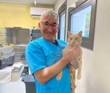 Η φροντίδα των ζώων μέσα από τα παιδιά