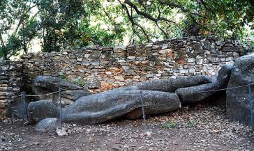"Επιτακτική ανάγκη για την προστασία τους"