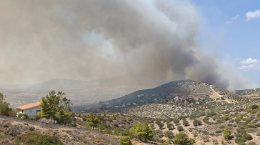 Κερατέα: 40.000 στρέμματα γης έγιναν στάχτη