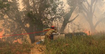 Φωτιές: Βελτιωμένη η εικόνα σε Πάτρα και Χίο