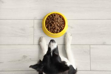 Επιτροπή Ανταγωνισμού: Πρόστιμα σχεδόν 500.000 ευρώ σε εταιρείες ζωοτροφών για καθορισμό τιμών μεταπώλησης