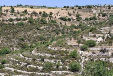 Ανάδειξη της ζωντανής μνήμης του τοπίου