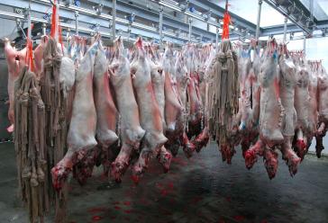 Παράταση λειτουργίας των παλαιών σφαγείων