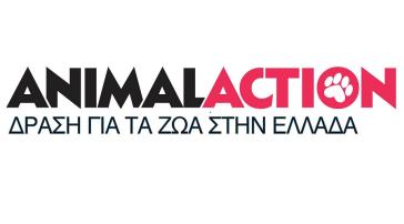 Πρόγραμμα φροντίδας ιπποειδών σε Σίφνο και Σέριφο