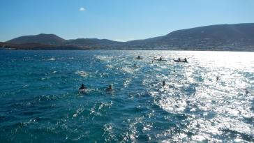 3ος Κολυμβητικός Διάπλους "Θυμάμαι το Σάμινα"