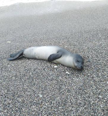 “Λυπηρό γεγονός για όλους μας”