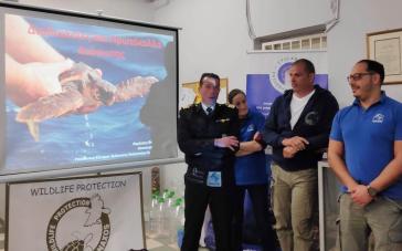 Σημαντική ενημέρωση για τη θαλάσσια χελώνα