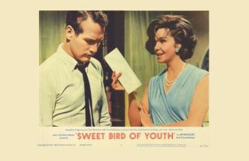 «Γλυκό Πουλί της Νιότης»: Προβολή στο Θεατρικό Μουσείο Ιάκωβος Καμπανέλλης