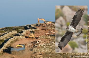 «Αιολικά στην Άνδρο: Όταν καταργείται κάθε επιστημονική λογική»