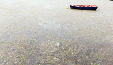 Ρίχνουν δίχτυα και πιάνουν …βούρκο