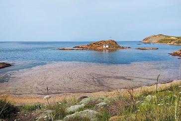 Ανησυχία για τη βλέννα του Μαρμαρά και στις ακτές της Θράκης