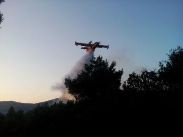 Έγιναν 33 συλλήψεις για εμπρησμό τις τελευταίες πέντε ημέρες