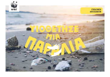 Οι παραλίες «υιοθετήθηκαν», η πλαστική ρύπανση επιμένει