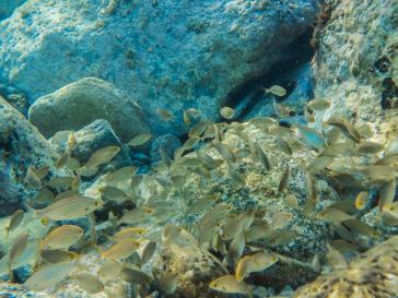 Η φωτογραφία της ημέρας