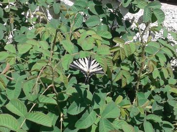 Η φωτογραφία της ημέρας