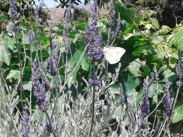 Η φωτογραφία της ημέρας