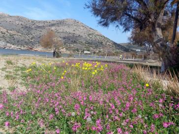 Η φωτογραφία της ημέρας