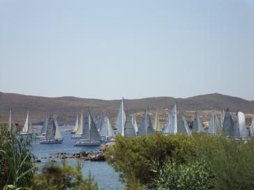 Η φωτογραφία της ημέρας