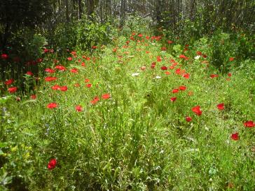 Η φωτογραφία της ημέρας